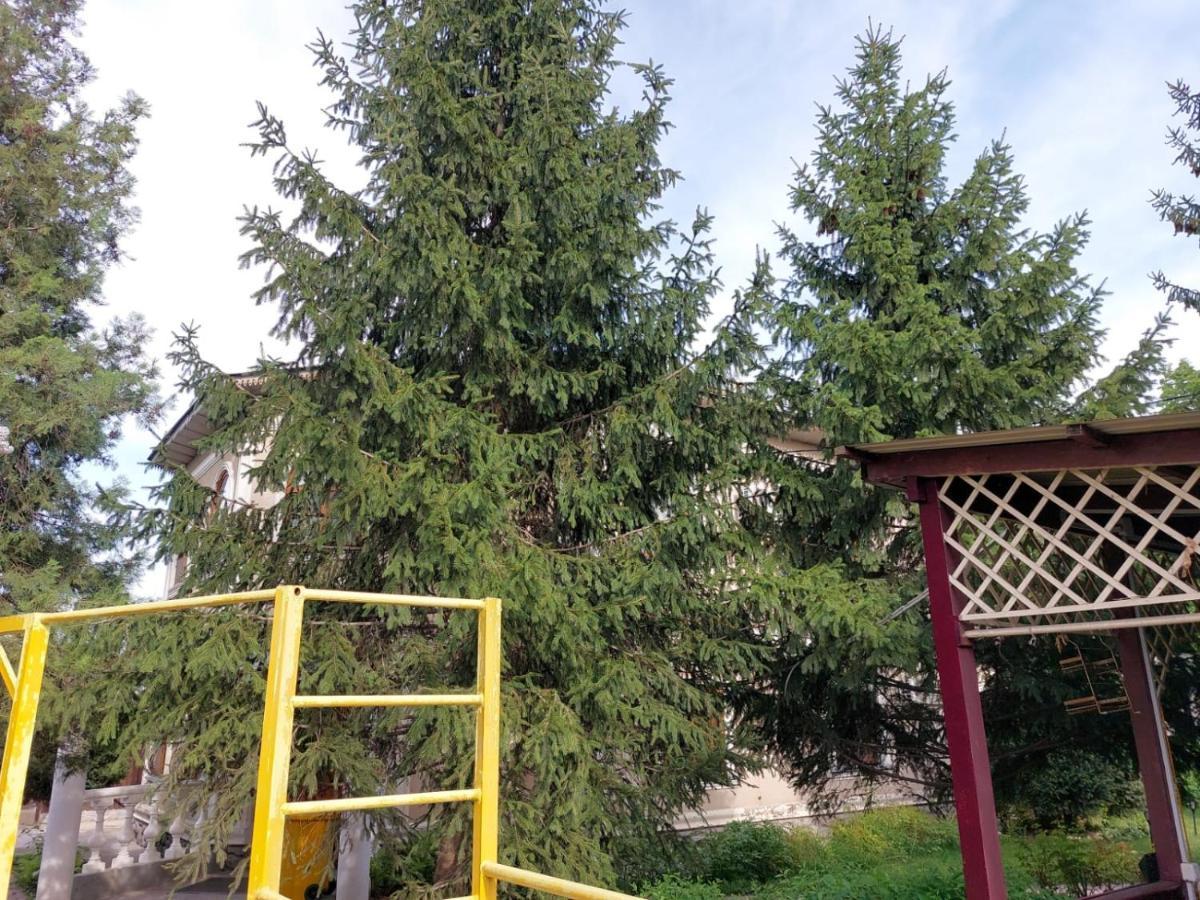 Room Hostel Dostyk Almaty Exterior foto